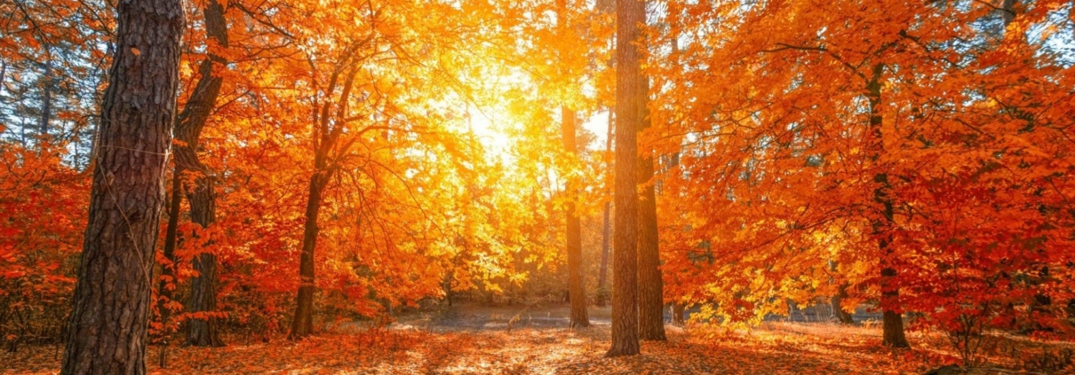 Jesienny weekend ze smakiem i spokojem